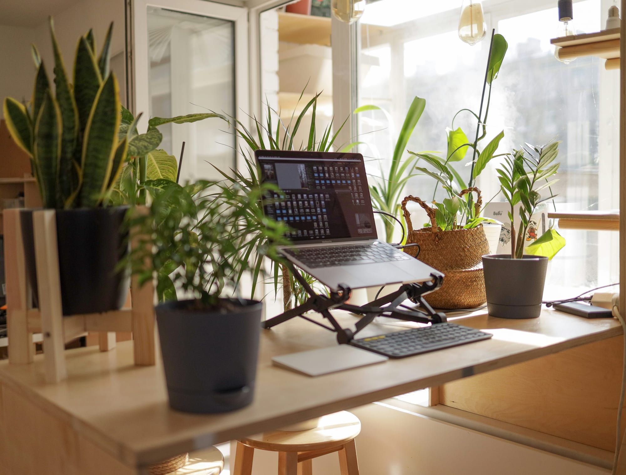 Photo of Conducting international business from your own home