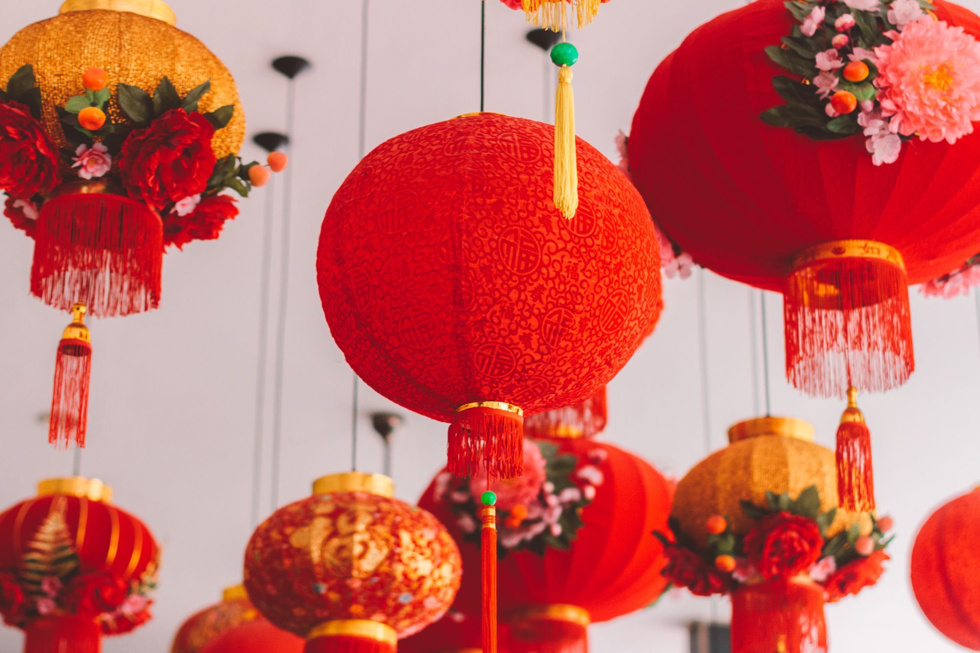 Blossom in the Year of the Tiger
