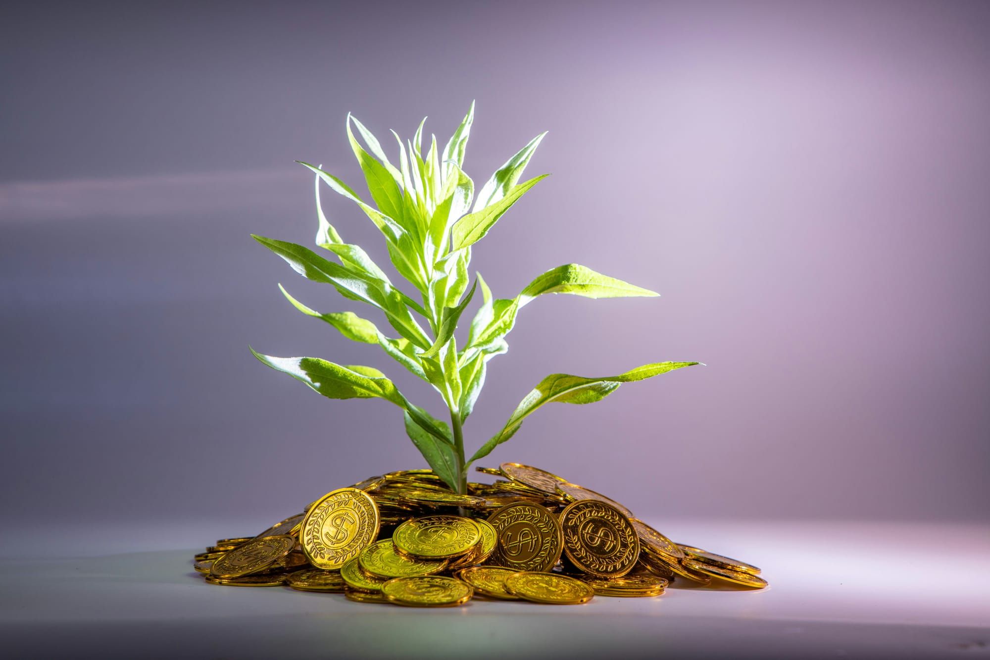 Growing our affluence (proxies) - finding the rich and the rest