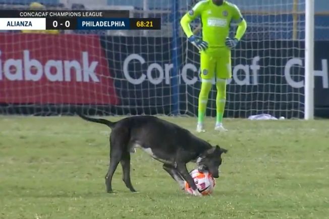 You’ve been CONCACAFed: It’s imperfect, but it’s ours