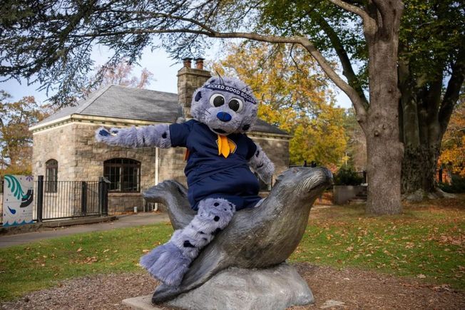 After Dark! Rhode Island FC’s mascot, Thiago Almada is MJ, and more