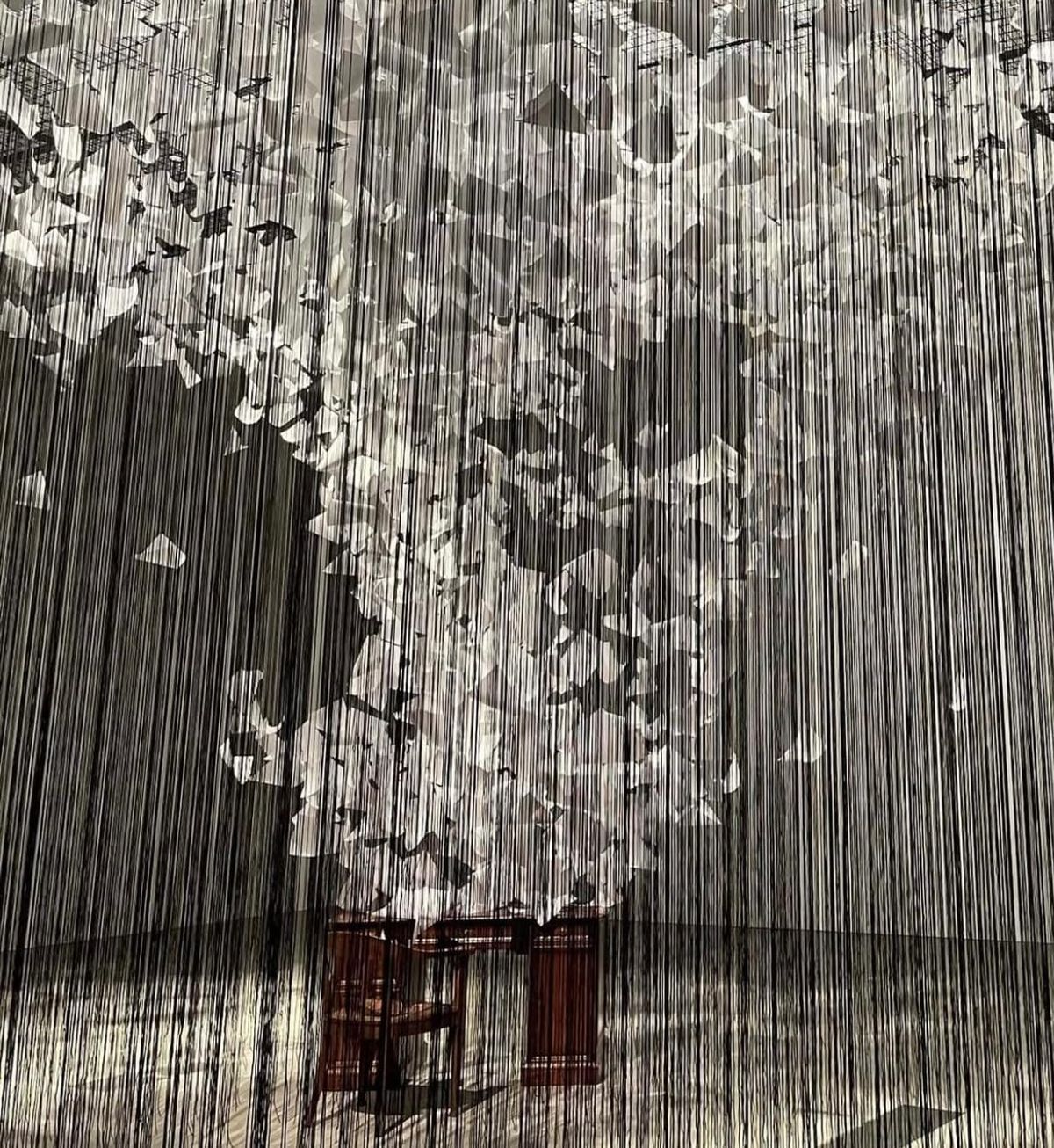 Breaking the Cartel: Mentorship as a Trust Strategy