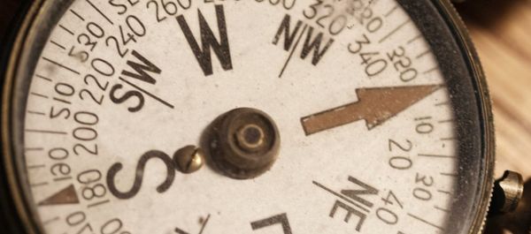 An Artist Statement is Your True North