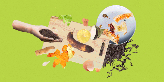 Best Food Waste Composters 2026: Which $200 Electric Bin Actually Works?