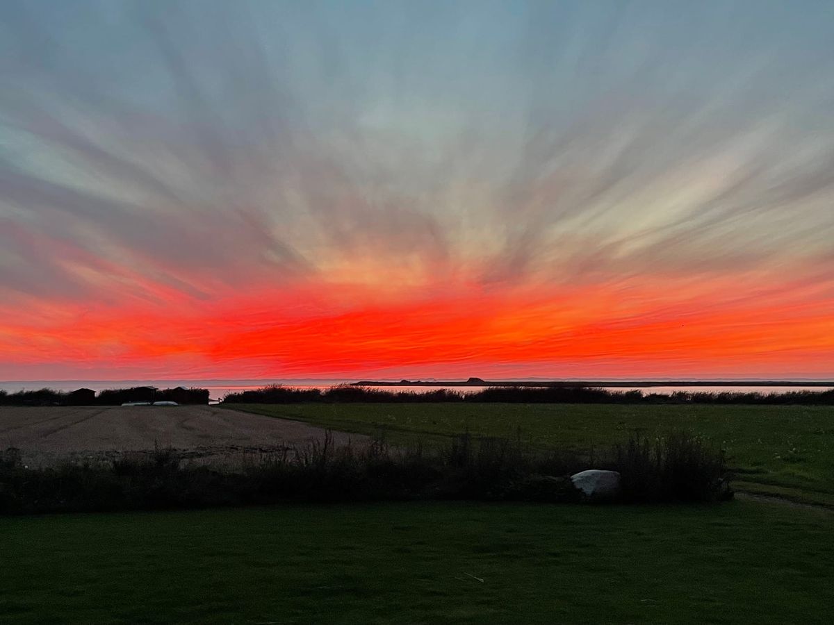 Er Lolland blevet Danmarks underdanige labrador?