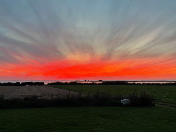 Er Lolland blevet Danmarks underdanige labrador?