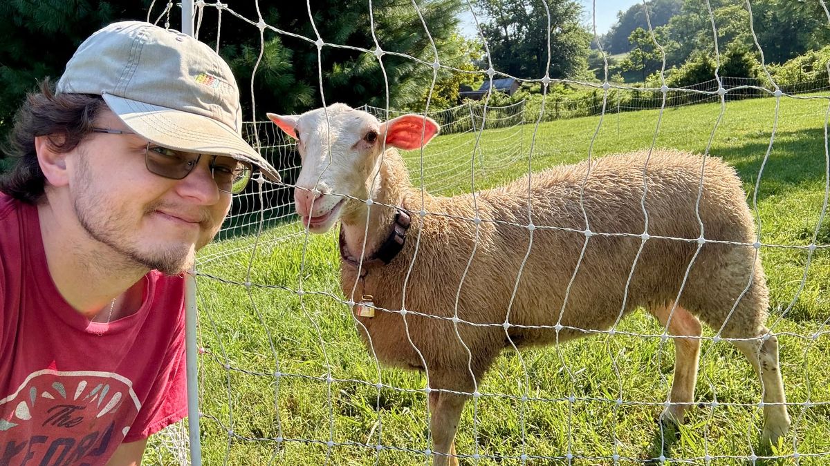 Andrew leans into the left of the image as Rosie the Lamb bleats behind a fence in the right two thirds. 