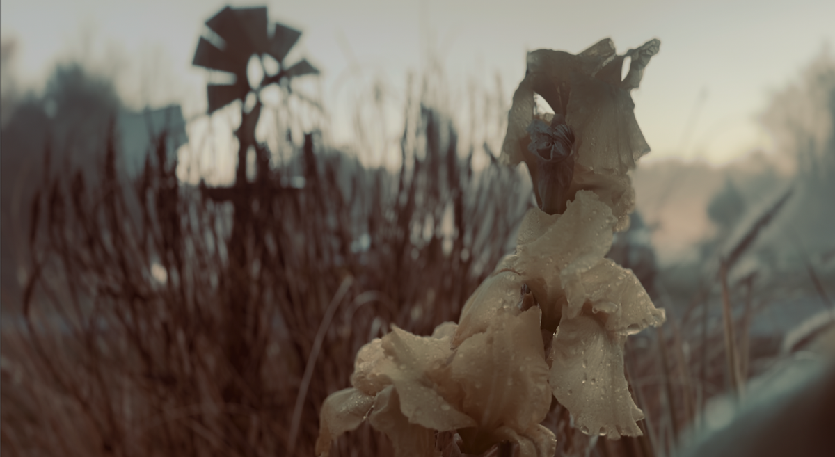 Garden Photography Workshop at 1 PM Eastern, Today!