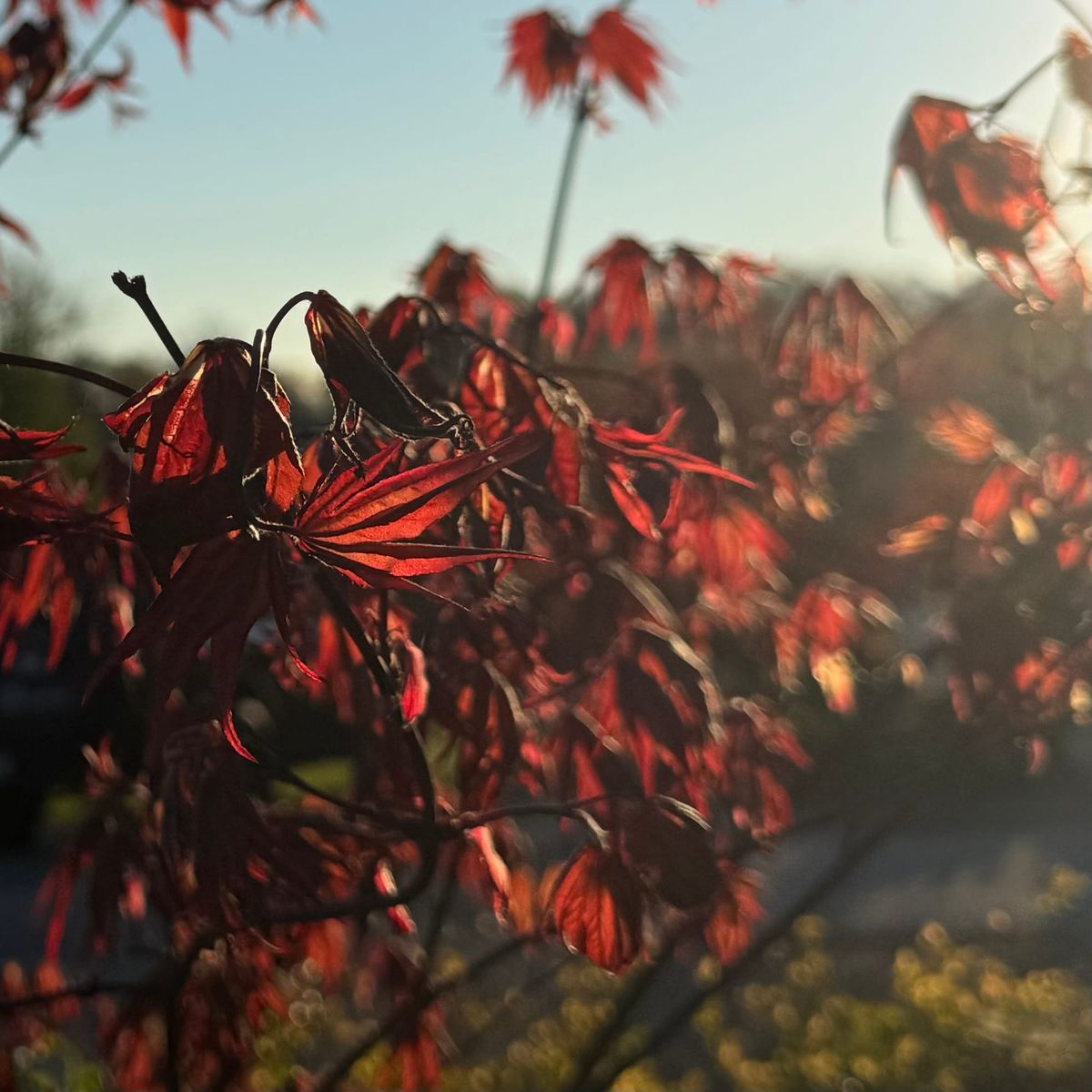 Harvesting Your Best Shots