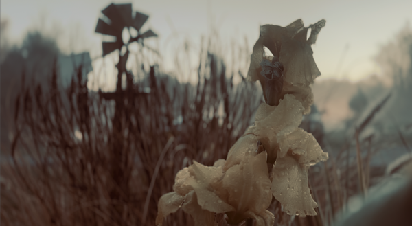 Garden Photography Workshop at 1 PM Eastern, Today!