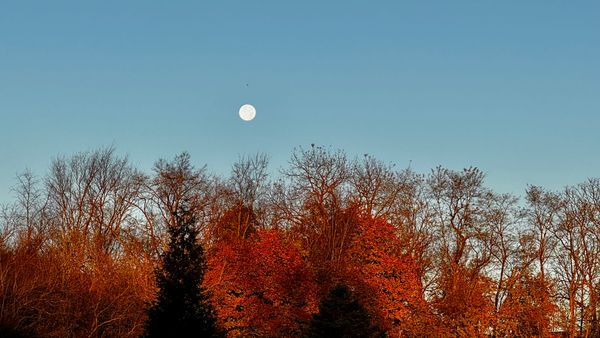 Learn to Use Your Tools (2025) Workshop Page