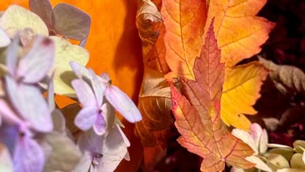 Learn to Use Your Tools Recap