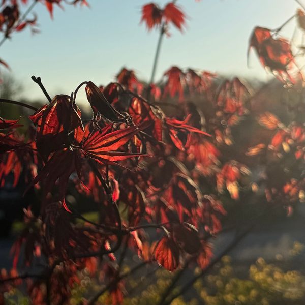 Harvesting Your Best Shots