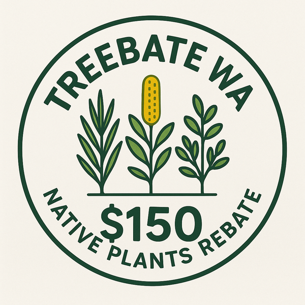 Treebate - Year 2