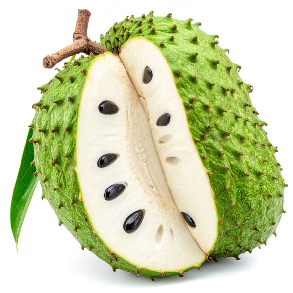 Soursop - The Guide