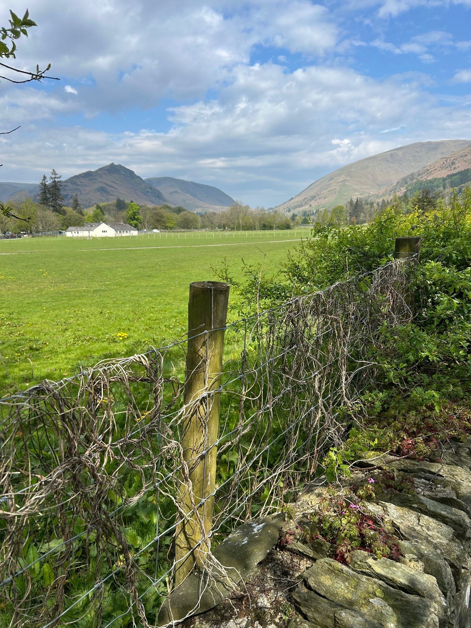 Helm Crag