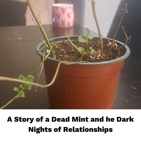 A story of a Dead Mint and the Dark Nights of Relationships