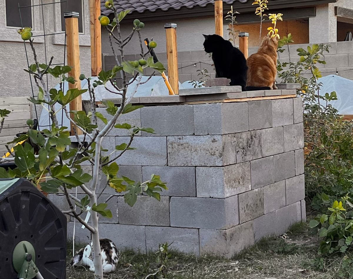 — The Gratitudes Publication —