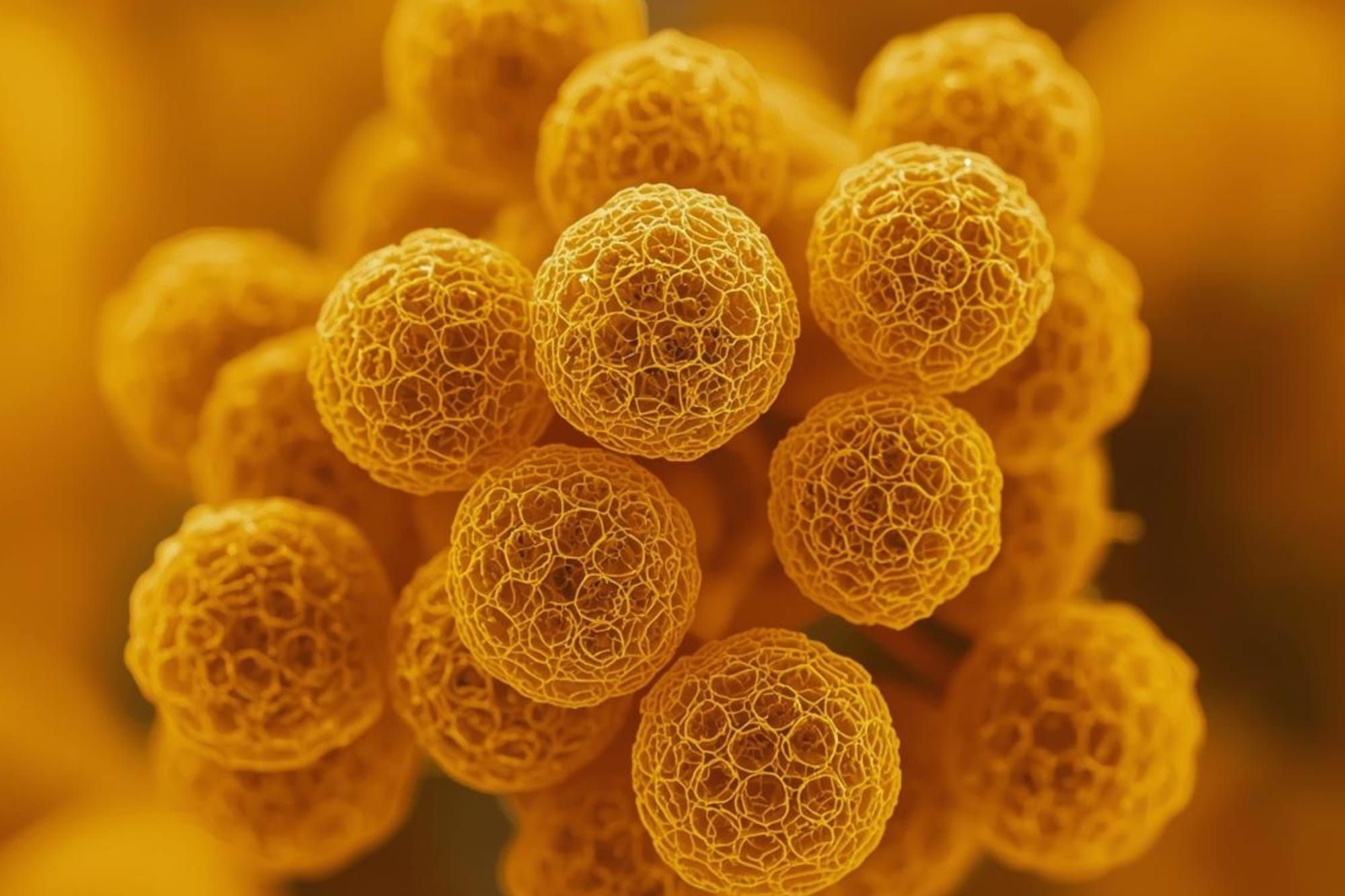 Report warns of 'worryingly thin' antimicrobial treatments pipeline