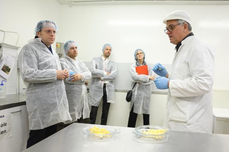 New EU AI tool aims to transform food safety