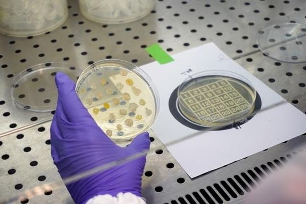 EU launches €253 million partnership to combat antimicrobial resistance