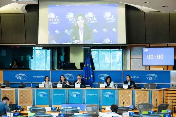 ECDC chief warns MEPs more health threats require more resources