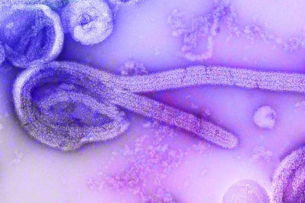 France reports first case of Ebola and WHO launches its first trials