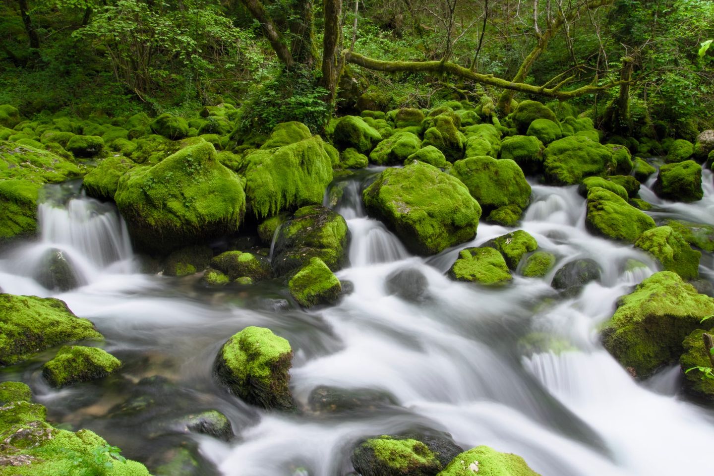 Beyond 'Normal': A Deep Dive into the Blood Markers That Define Optimal Health