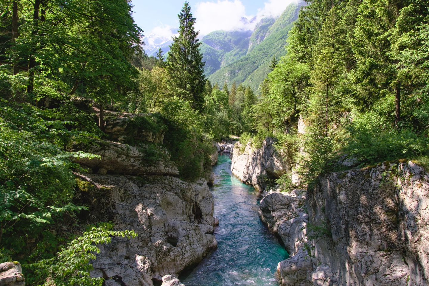 Biomarkers of Longevity: A Scientific Review of Key Predictors for Long-Term Health and All-Cause Mortality