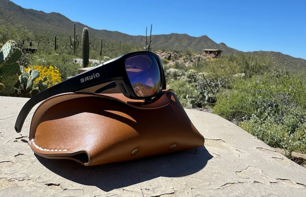 bajio logo front and center in a sonoran desert scene featuring the eldora sunglasses and saguaro cactus