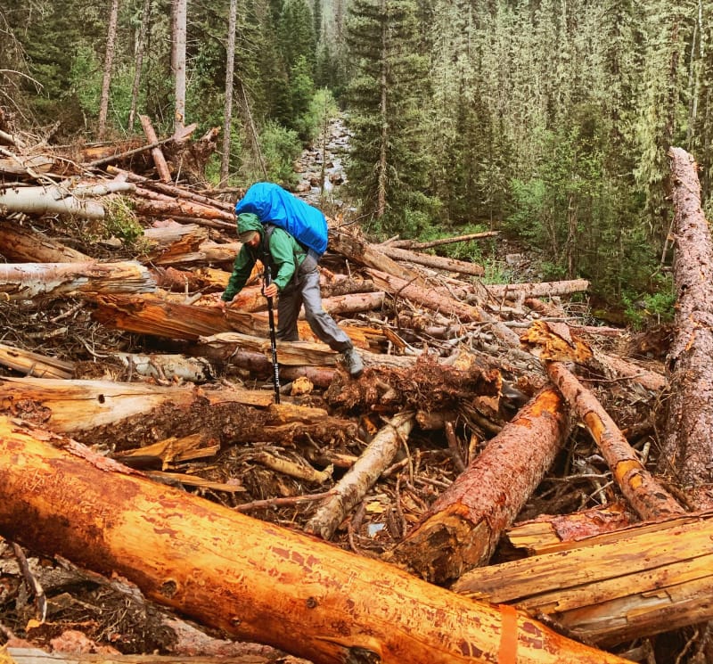 Backpacker crossing a pile of fallen trees in a rainy mountain forest wearing a green jacket and blue rain cover.