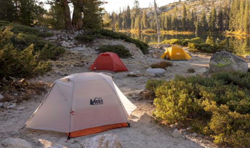  Three REI Co-op tents set up at a lakeside campsite in the mountains during golden hour.
