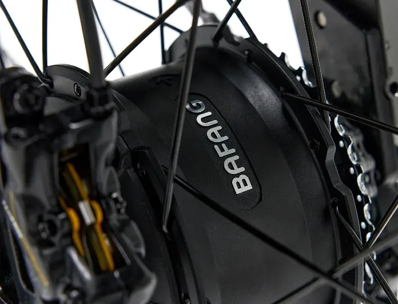 Bafang rear hub motor with disc brakes on a Bakcou eBike