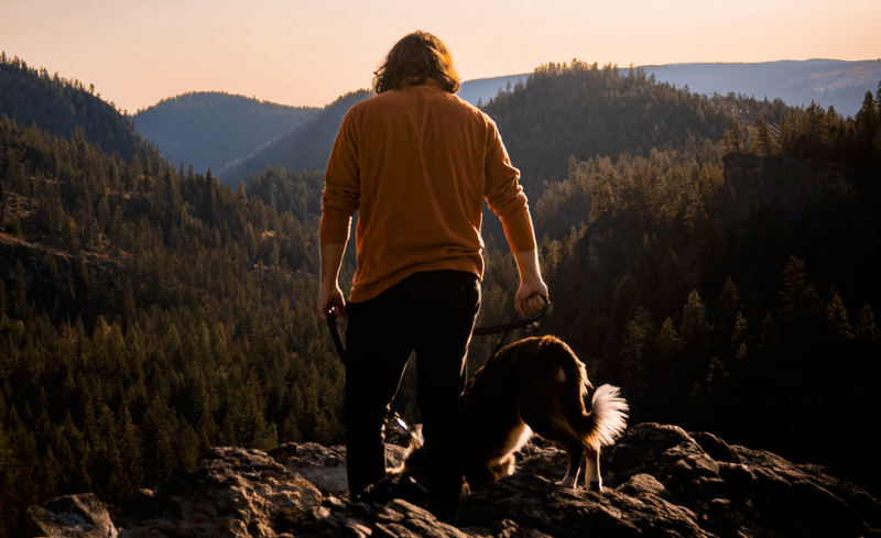 Hiker with a backpack walking a small dog on a leash through a green forest trail