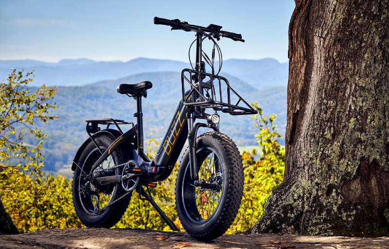  Buzz Centris eBike parked on a rocky overlook with forest and mountains in the distance, showcasing its rugged build and off-road capability.
