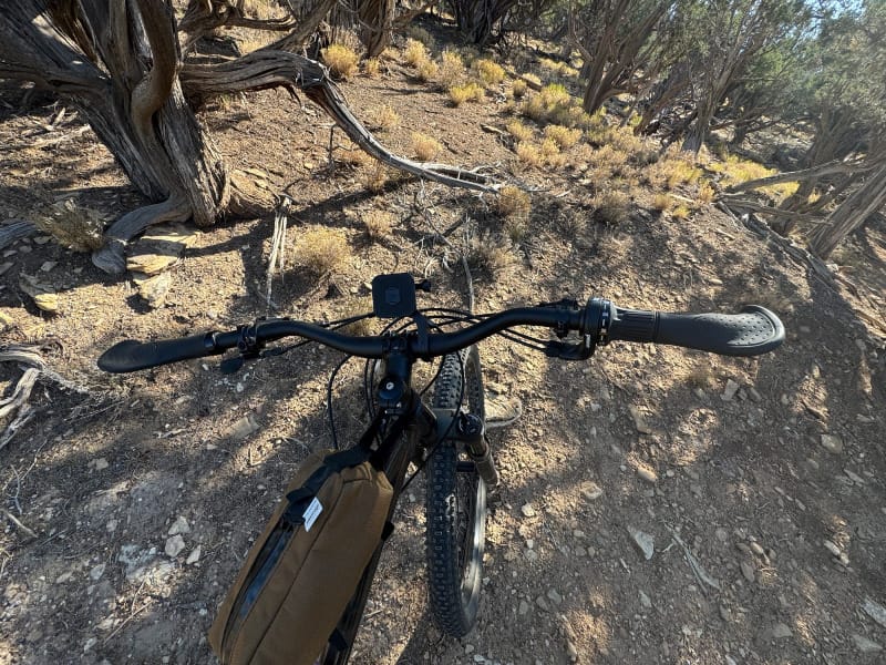  Overhead view of the Priority 600ADX handlebars, showing the Pinion grip shifter and a brown frame bag in a wooded setting.