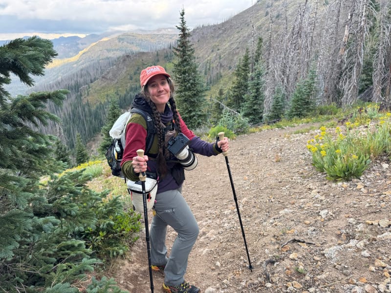 Hiker using Gossamer Gear trekking poles on a mountain trail with wildflowers and forested peaks in the background.