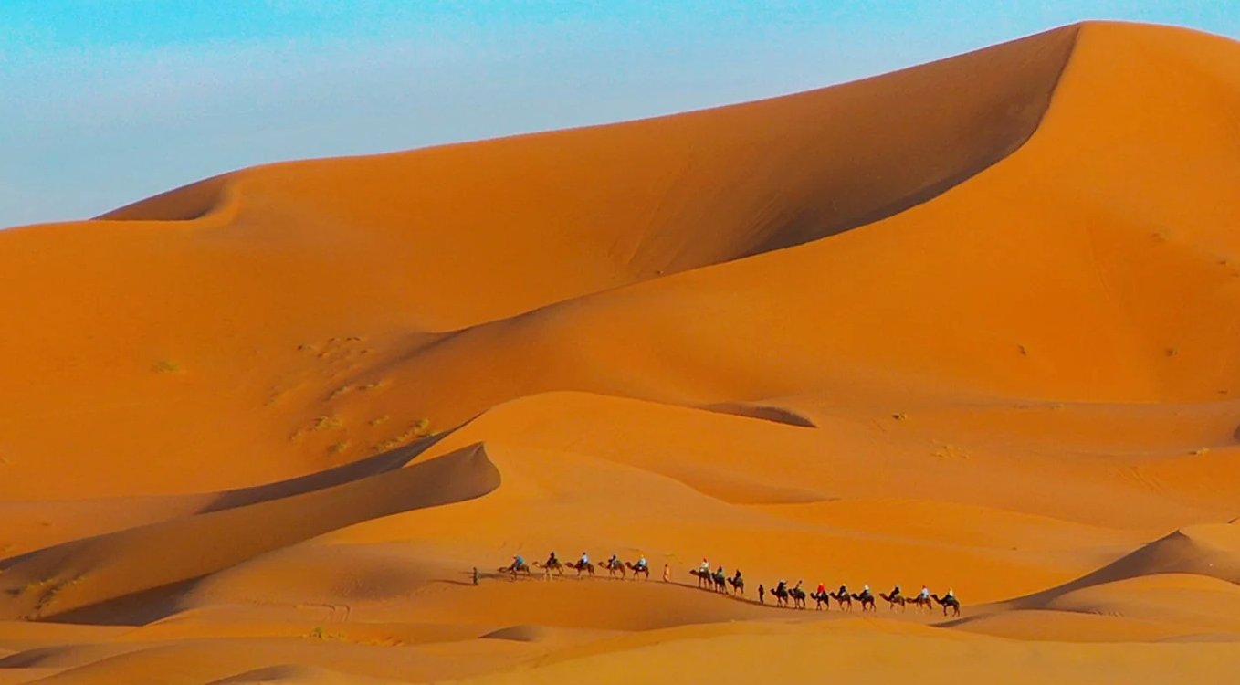 Camel caravan moving across vast golden sand dunes, where the inspiration for Ombraz armless sunglasses first began.