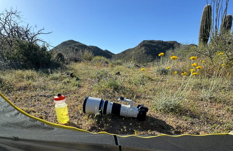 Desert hiking camp setup with electrolyte drink, camera gear, and shelter in hot Sonoran Desert conditions