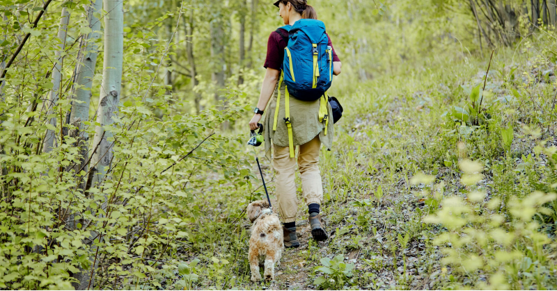 How to Responsibly Hike and Backpack With a Dog: A Guide for Good Trail Manners