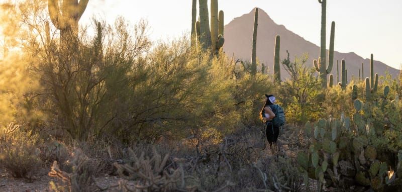 Best Trail Runners and Hiking Shoes for Backpacking in the Desert (2026 Guide)