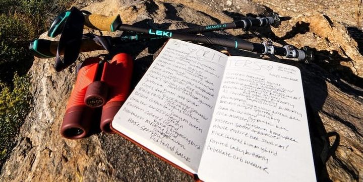 Gear Review: LEKI Cressida AS Trekking Poles