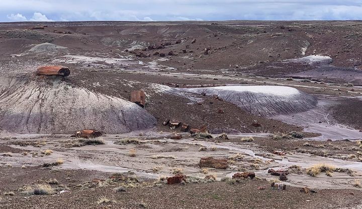 a wide landscape in petrified forest national park along the crystal forest trail