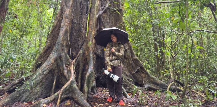 Woman wearing KUIU Chugach TR Rain Jacket and Pants under a large tree in Costa Rica’s jungle with a camera and umbrella.