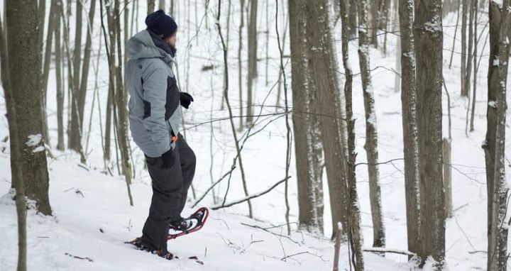 Person snowshoeing through a snowy forest wearing winter hiking gear, demonstrating traction and stability for winter trail hiking.