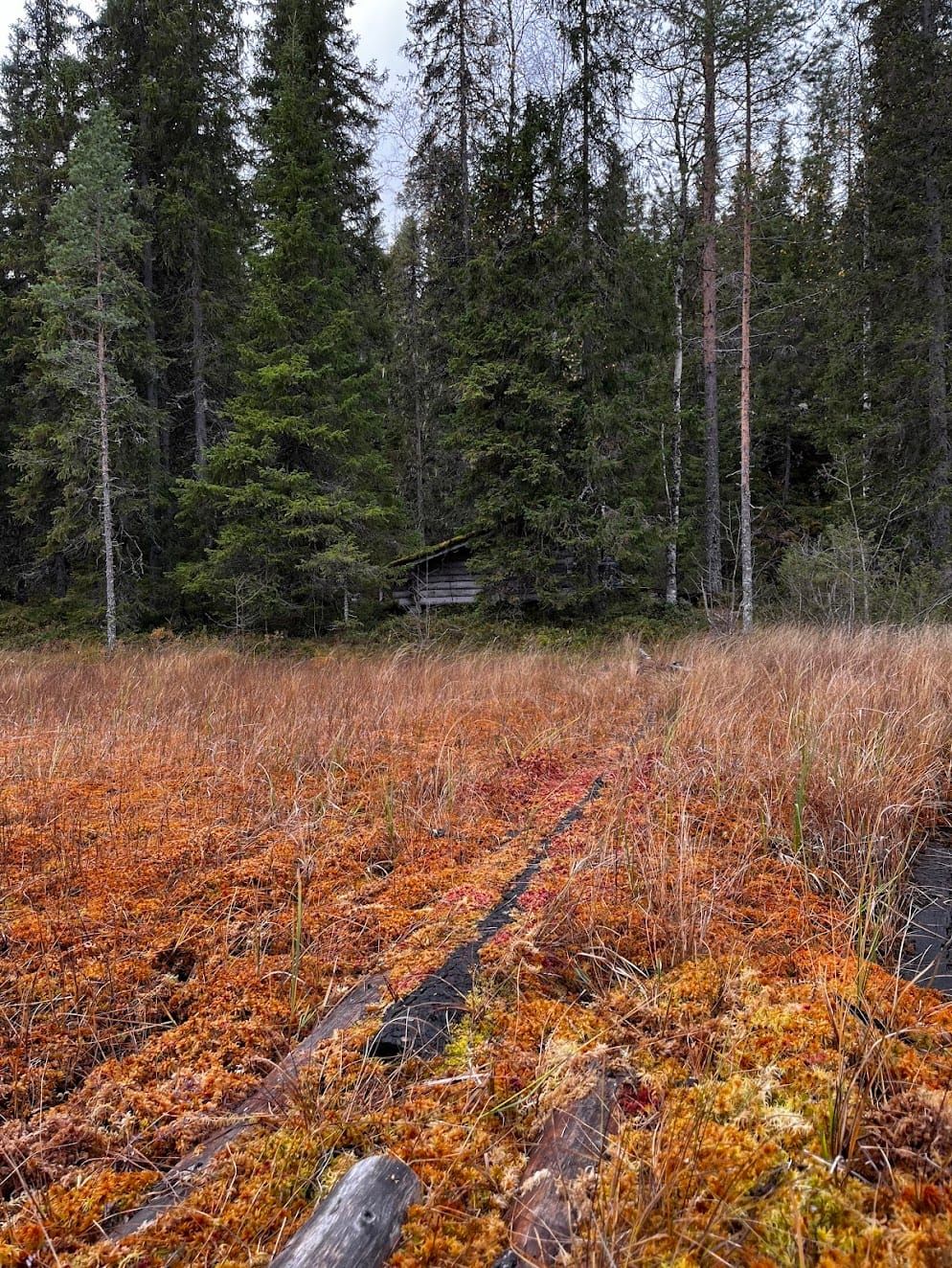 Finland