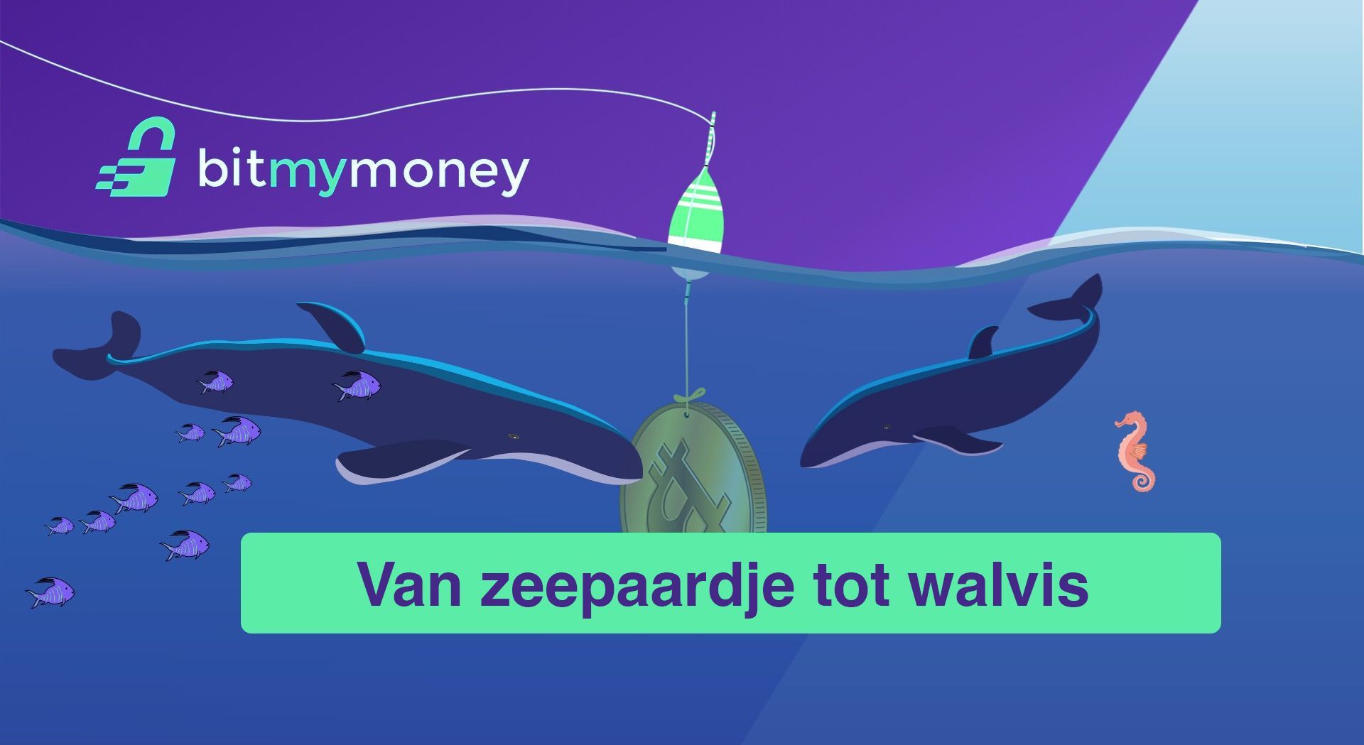 Volg je Bitcoinreis