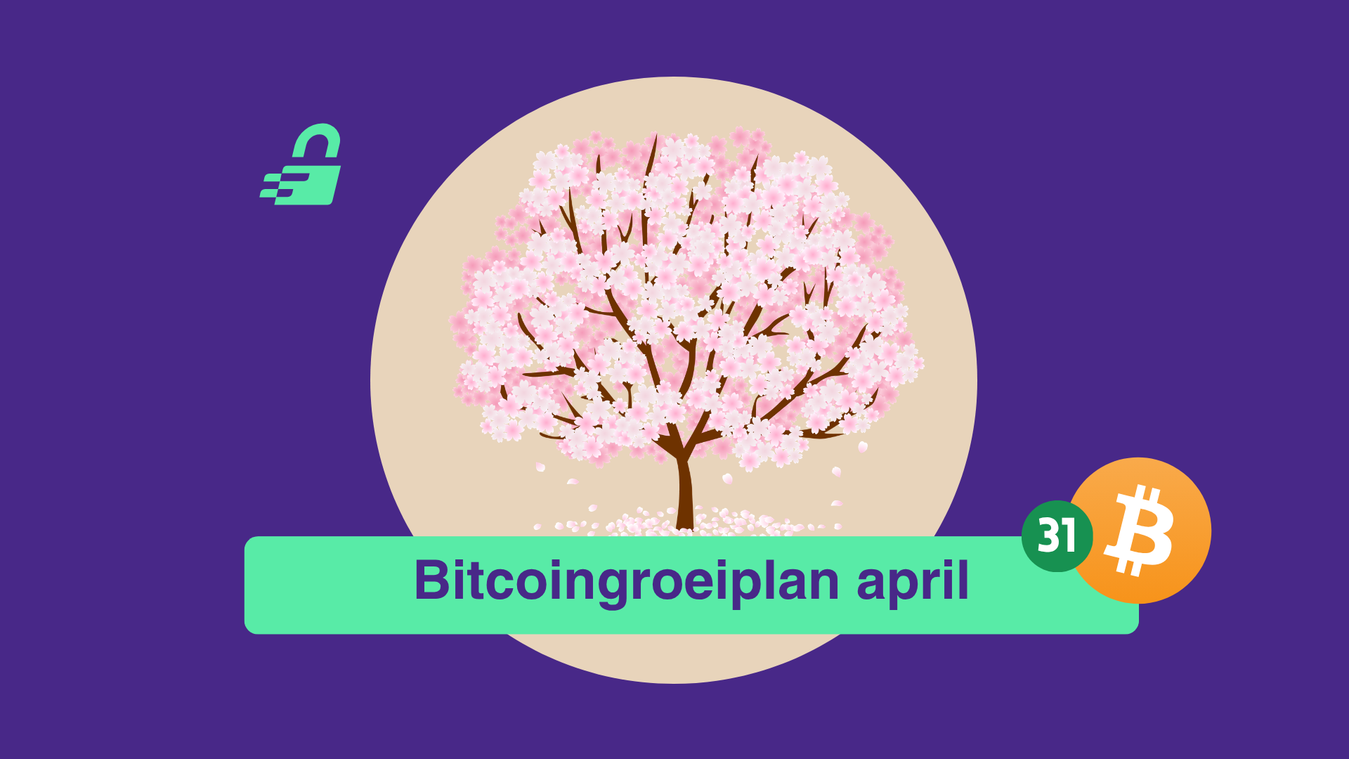 Satoshi's rekening: Rustig bouwen in onrustige tijden