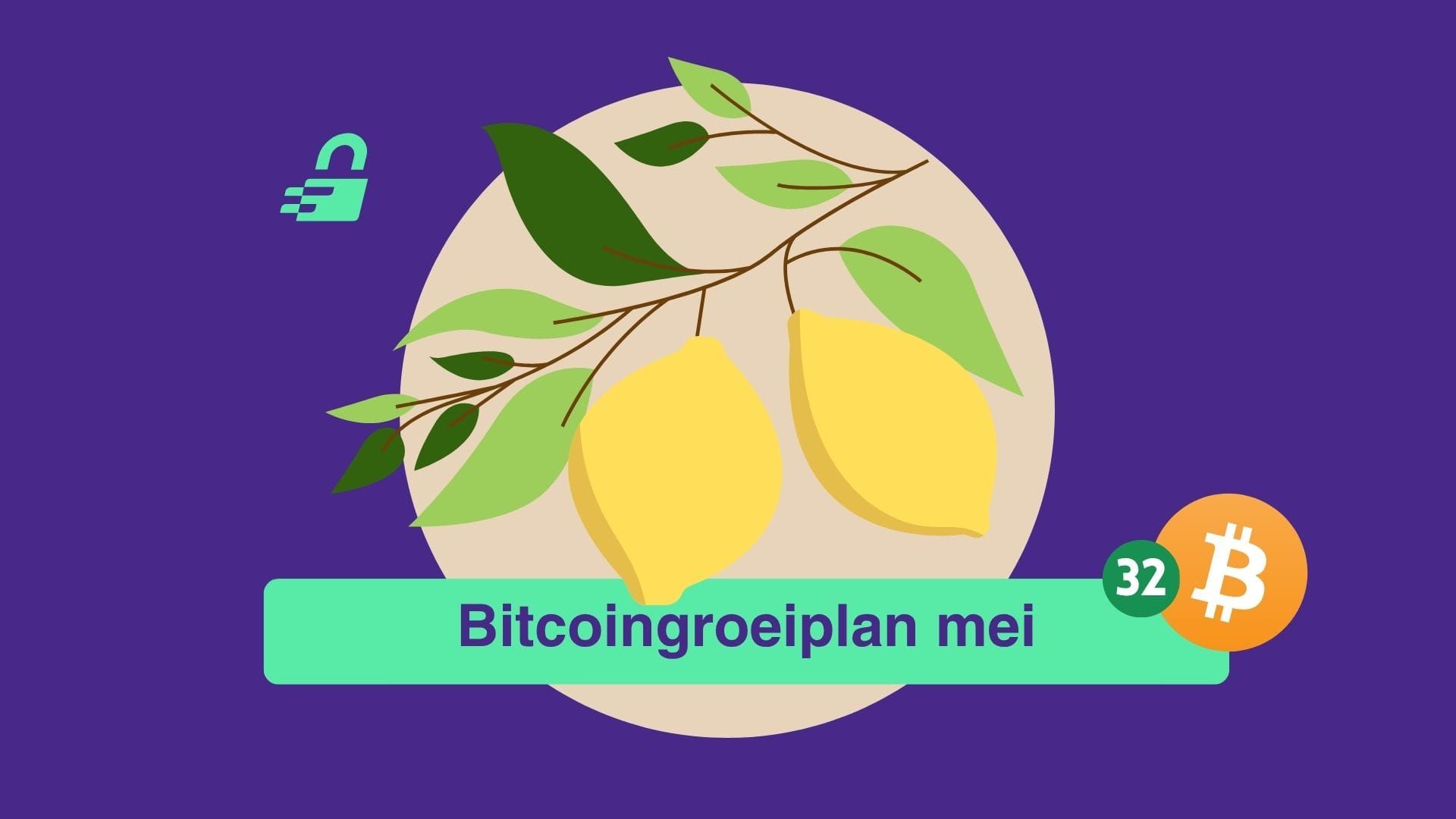 Satoshi's rekening: De koers veert op