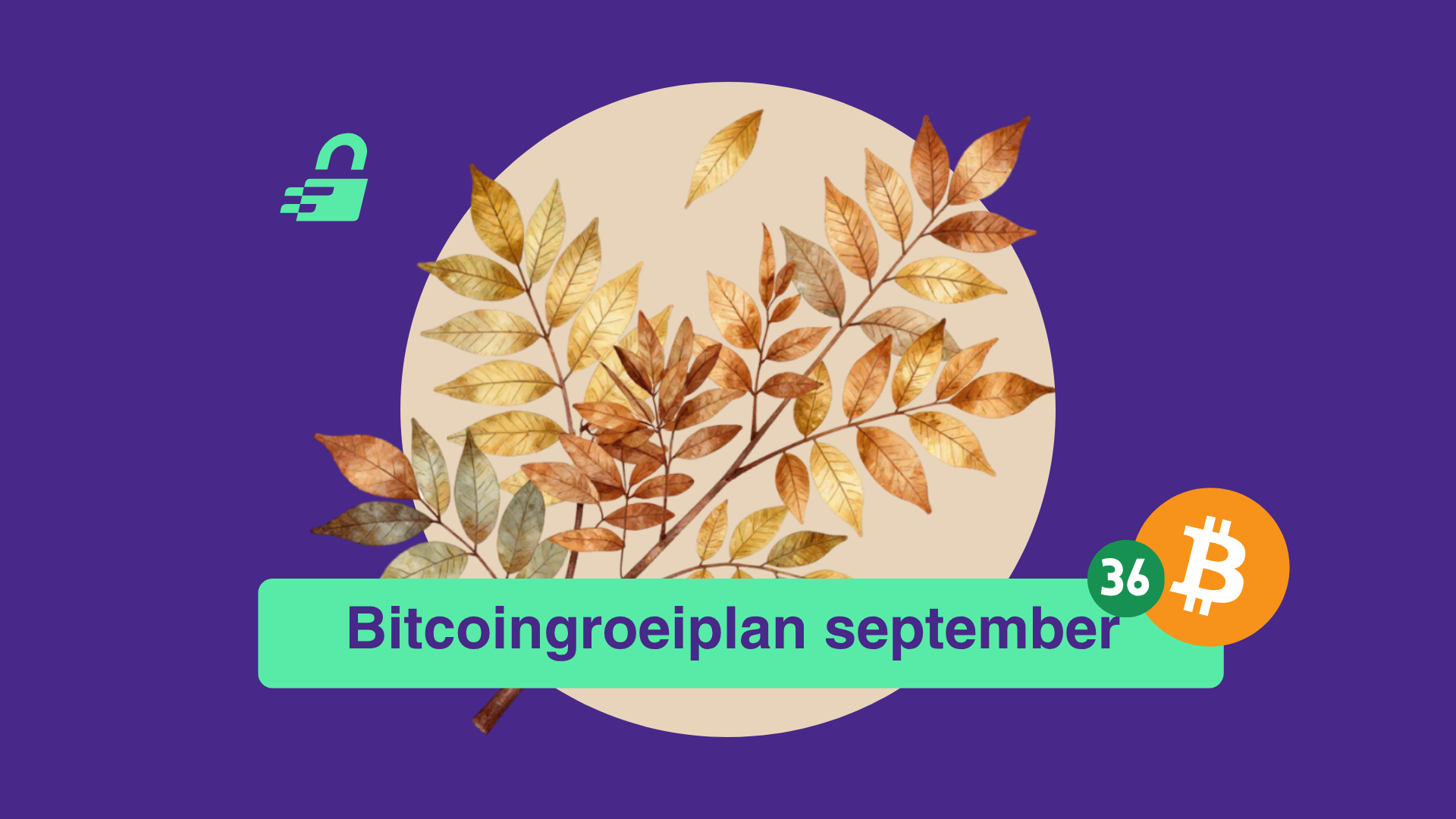 Satoshi's rekening: Groene cijfers